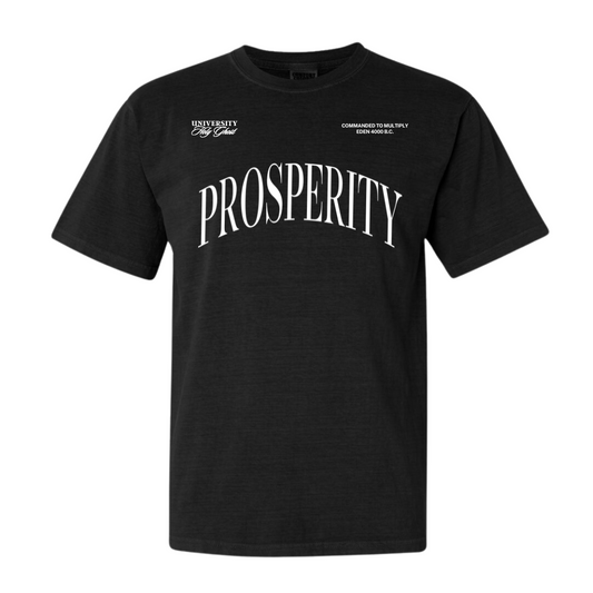 ProsperiTee in Black